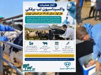آغاز عملیات سراسری واکسیناسیون تب برفکی (فاز اول سال ۱۴۰۵) در استان تهران